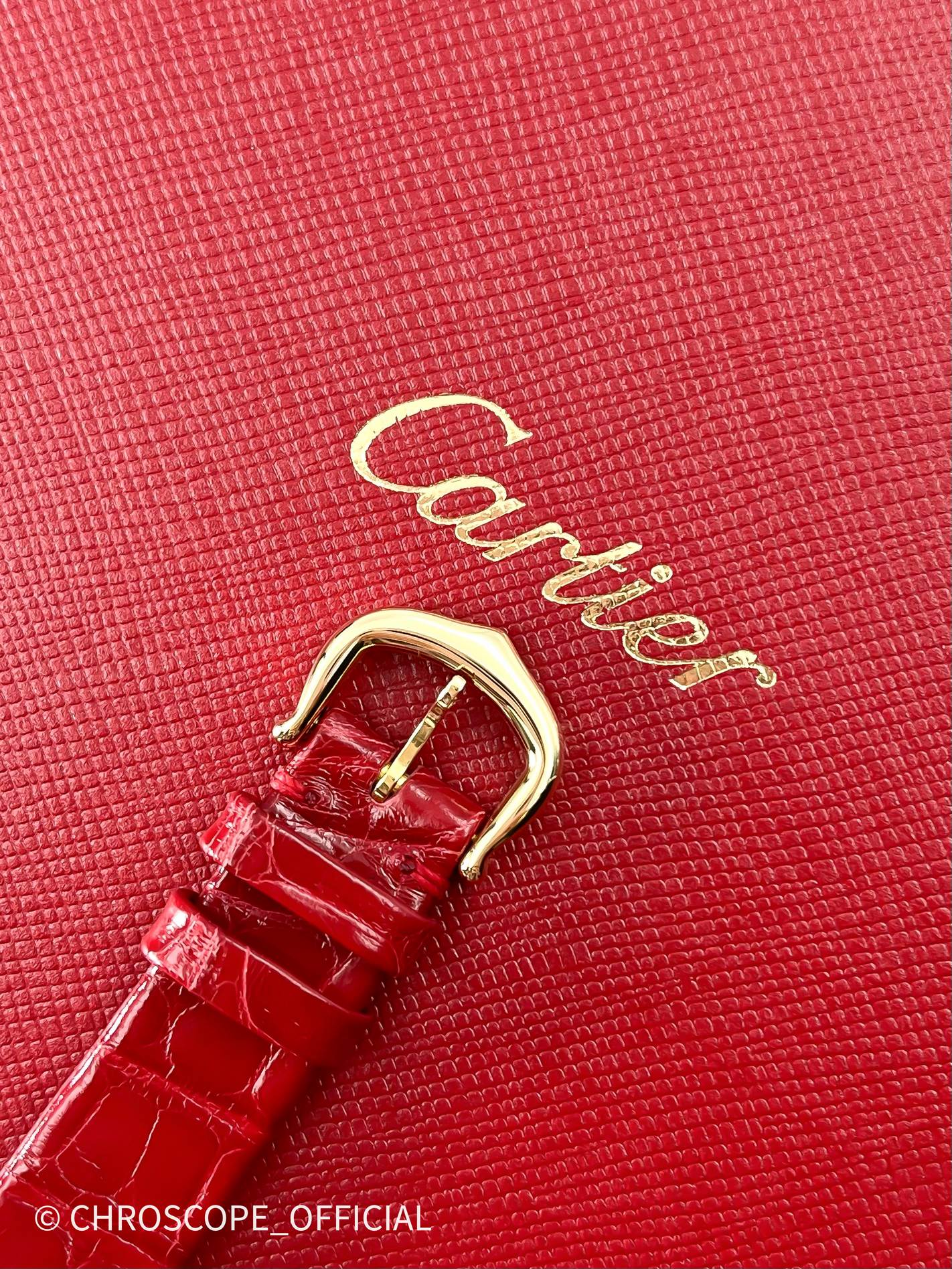 Cartier&nbsp;&nbsp;-&nbsp;&nbsp;LA DONA DE CARTIER