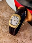 Vacheron Constantin&nbsp;&nbsp;-&nbsp;&nbsp;Historique Vintage