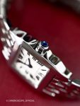 Cartier&nbsp;&nbsp;-&nbsp;&nbsp;Santos Small Ladies