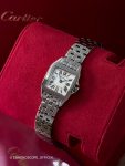 Cartier&nbsp;&nbsp;-&nbsp;&nbsp;Santos Small Ladies