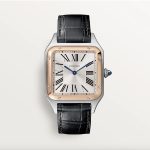 Cartier&nbsp;&nbsp;-&nbsp;&nbsp;Santos Dumont