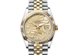 Rolex&nbsp;&nbsp;-&nbsp;&nbsp;Datejust 36 Palm