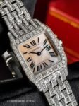 Cartier&nbsp;&nbsp;-&nbsp;&nbsp;Santos Demoiselle Diamonds Pave