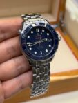 OMEGA&nbsp;&nbsp;-&nbsp;&nbsp;Seamaster Diver 300 m Co-Axial 41 mm