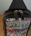 Coach&nbsp;&nbsp;-&nbsp;&nbsp;Сумка COACH X MINT + SERF SULLIVAN PACK