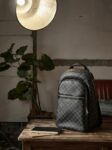 Louis Vuitton&nbsp;&nbsp;-&nbsp;&nbsp;Рюкзак Louis Vuitton Michael Damier Graphite