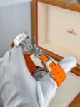 OMEGA&nbsp;&nbsp;-&nbsp;&nbsp;Seamaster Planet Ocean 600M Co-Axial Chronograph