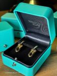 Tiffany&nbsp;&nbsp;-&nbsp;&nbsp;Серьги Tiffany HardWear