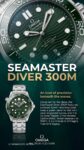 OMEGA&nbsp;&nbsp;-&nbsp;&nbsp;Seamaster Diver 300 m