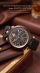 Bovet&nbsp;&nbsp;-&nbsp;&nbsp;Sportster Saguaro