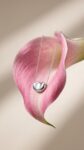 Tiffany&nbsp;&nbsp;-&nbsp;&nbsp;Tiffany & Co. Elsa Peretti Bean Pendant