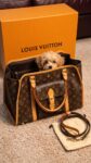Louis Vuitton&nbsp;&nbsp;-&nbsp;&nbsp;Louis Vuitton — сумка-переноска для собак