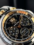 Bovet&nbsp;&nbsp;-&nbsp;&nbsp;Sportster Saguaro