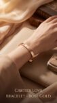 Cartier&nbsp;&nbsp;-&nbsp;&nbsp;Браслет Cartier Love 21