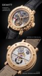 Dewitt&nbsp;&nbsp;-&nbsp;&nbsp;Academia Tourbillon Differential AC.8002.53.M1052 Limited Edition